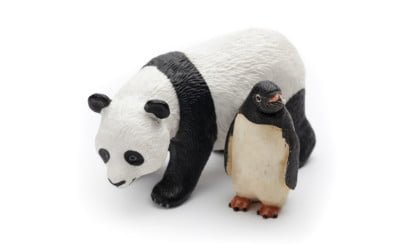 Insurance Agents, Pandas, Penguins and Hummingbirds